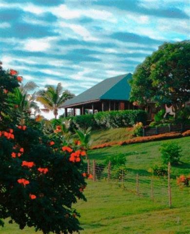 Hotel Palmlea Farms Lodge & Bures - Villas