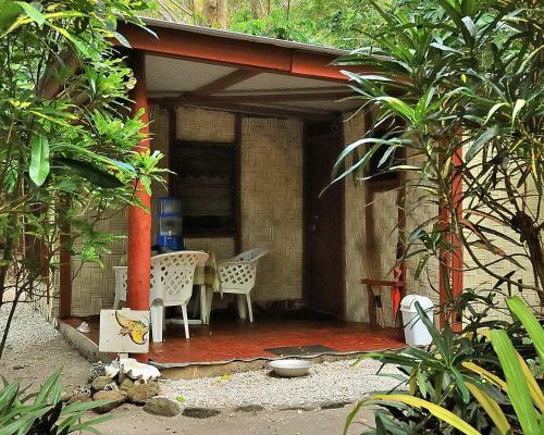 Hostal Dolphin Bay Divers Retreat