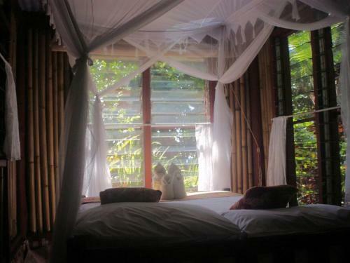 Hostal Dolphin Bay Divers Retreat