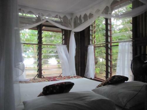 Hostal Dolphin Bay Divers Retreat