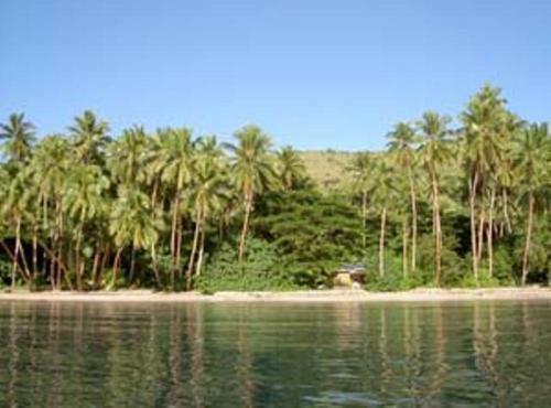 Hostal Dolphin Bay Divers Retreat