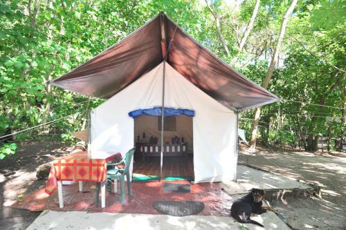 Hostal Dolphin Bay Divers Retreat