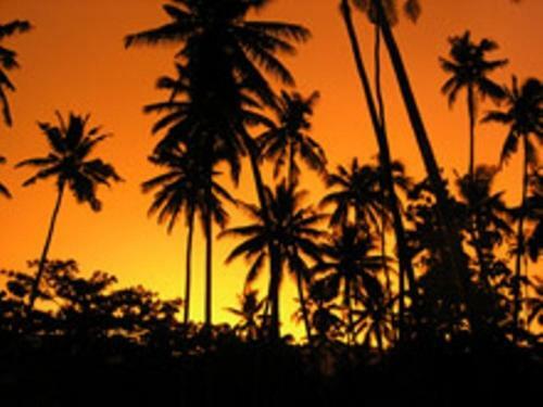 Hostal Dolphin Bay Divers Retreat