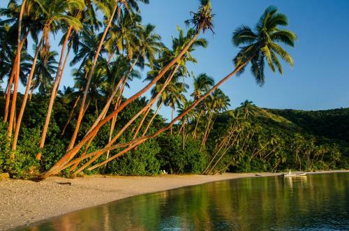 Hostal Dolphin Bay Divers Retreat