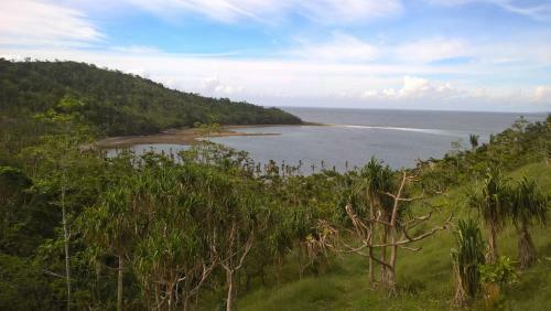 Hostal Dolphin Bay Divers Retreat