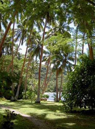 Hostal Dolphin Bay Divers Retreat