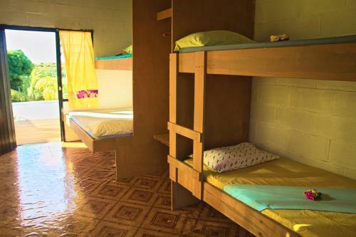 Hostal The Beehive Fiji
