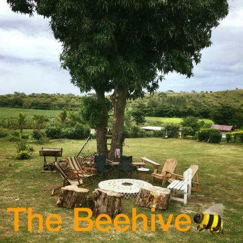 Hostal The Beehive Fiji