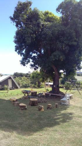 Hostal The Beehive Fiji