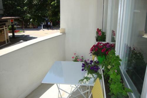 Albergue Guest Rooms Colours