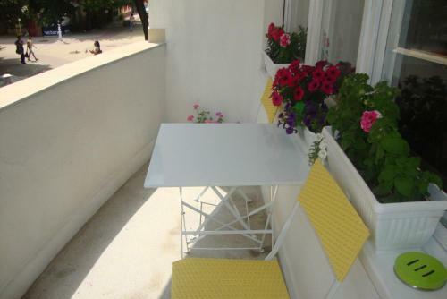 Albergue Guest Rooms Colours