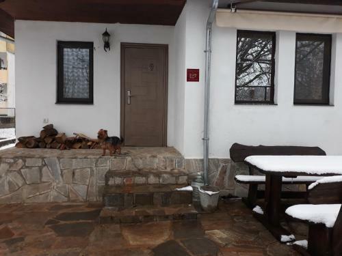 Hostal Villa Malko Tarnovo