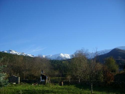 Hostal Villa Lilia