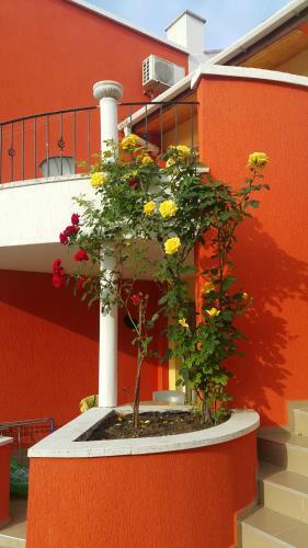 Villa Valentina