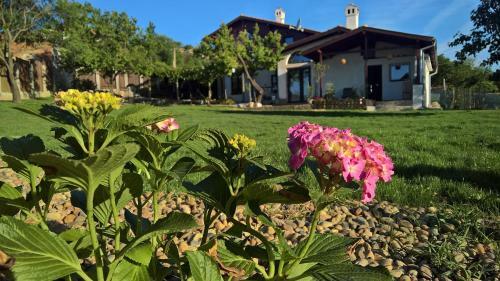 Rural House Mitevi With Sea Views