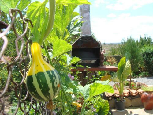 Hostal Guest House Valchanovi