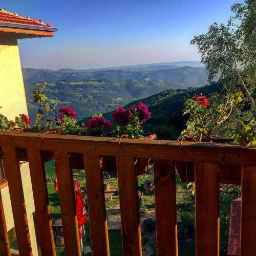 Family Hotel Panorama