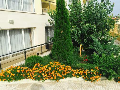 Villa Galina Apartments