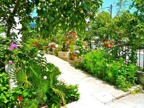 Hostal Walmar Guest House