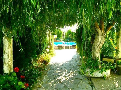 Hostal Walmar Guest House