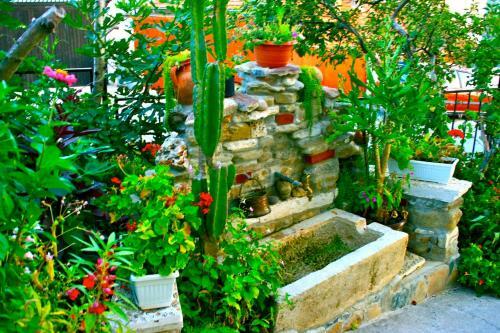 Hostal Walmar Guest House