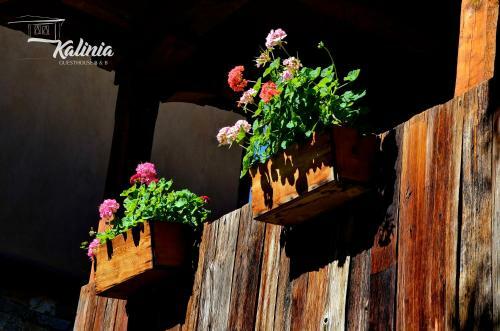 Kalinia Guesthouse B&B
