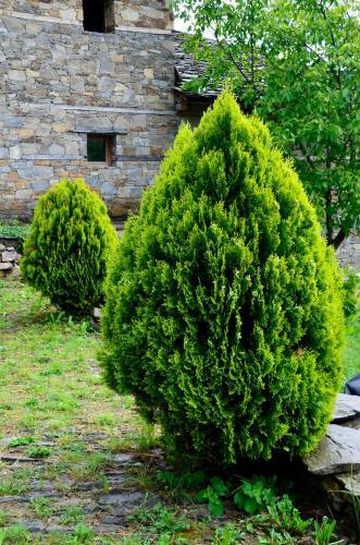 Kalinia Guesthouse B&B