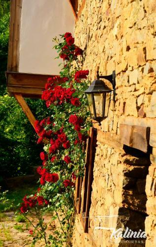 Kalinia Guesthouse B&B