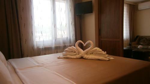 Hostal Border House