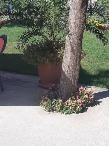 Hostal Villa Ros Guest House