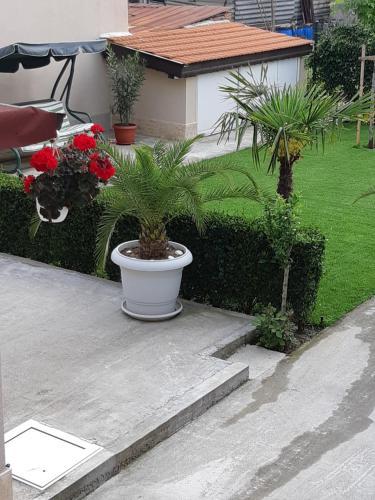 Hostal Villa Ros Guest House