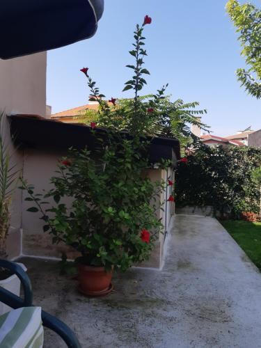 Hostal Villa Ros Guest House