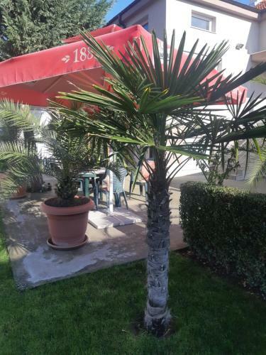 Hostal Villa Ros Guest House