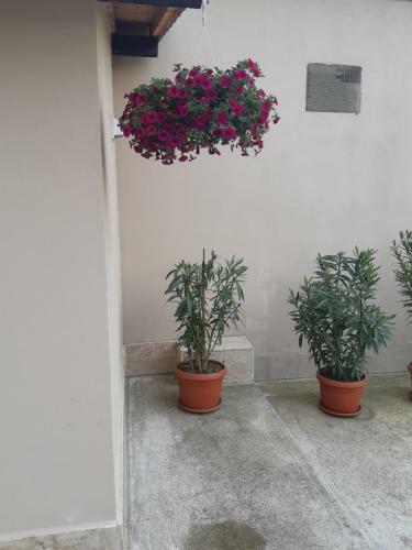 Hostal Villa Ros Guest House