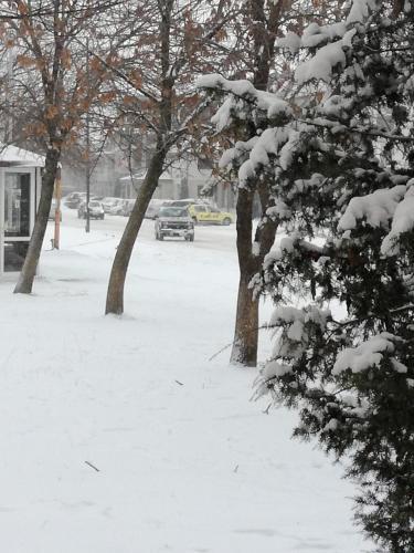 Hostal Guest House Izgrev