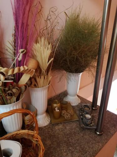 Hostal Guest House Izgrev