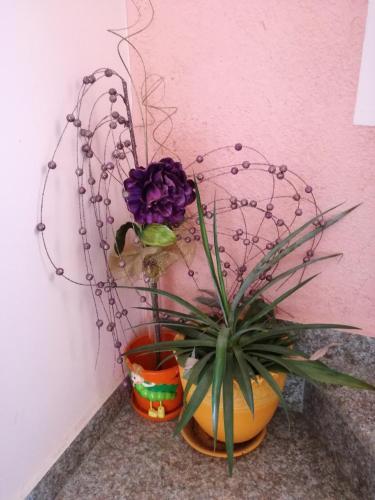 Hostal Guest House Izgrev