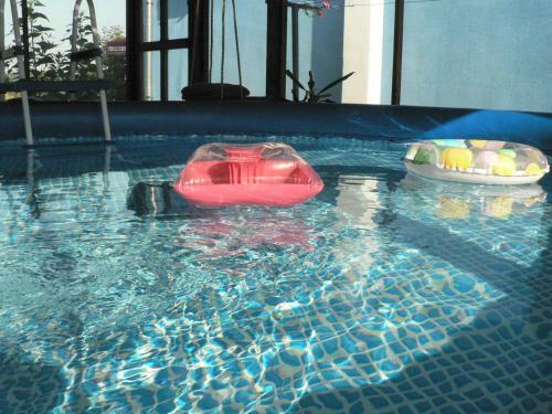 Hostal Pelican Lake Guesthouse Srebarna