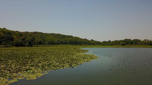 Hostal Pelican Lake Guesthouse Srebarna