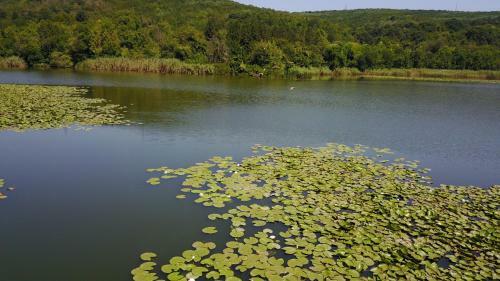 Hostal Pelican Lake Guesthouse Srebarna