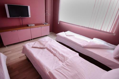 Apartament Druzhba