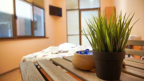 Hostal Pamir Guest House