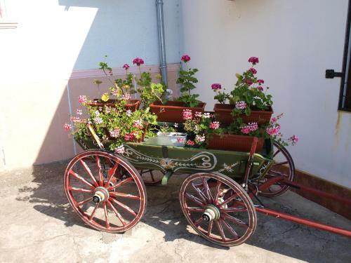 Hostal Guest House Borisov
