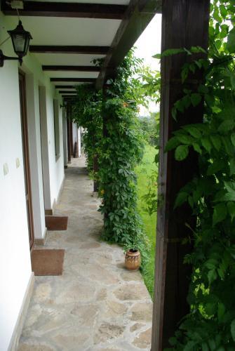 Hostal Guest House Dan Kolov