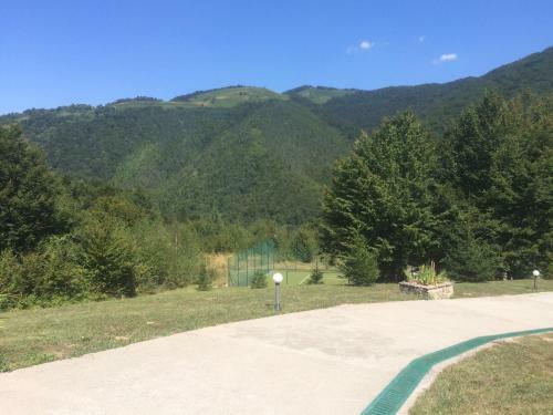 Park Hotel Ribarica