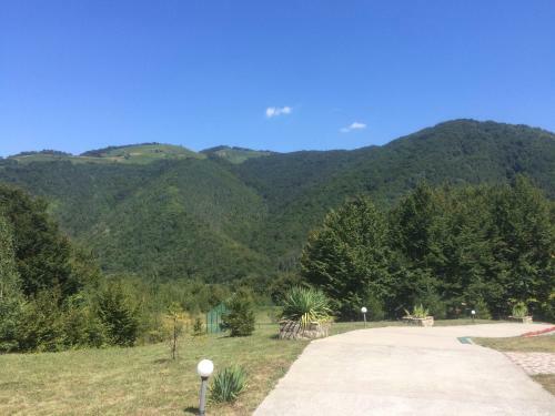 Park Hotel Ribarica