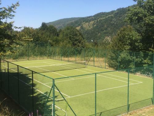 Park Hotel Ribarica