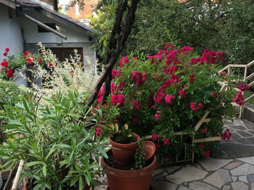 Hostal Luylyana Guesthouse