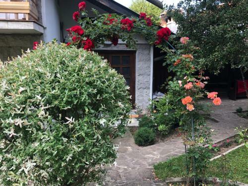 Hostal Luylyana Guesthouse