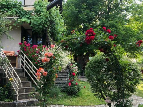 Hostal Luylyana Guesthouse